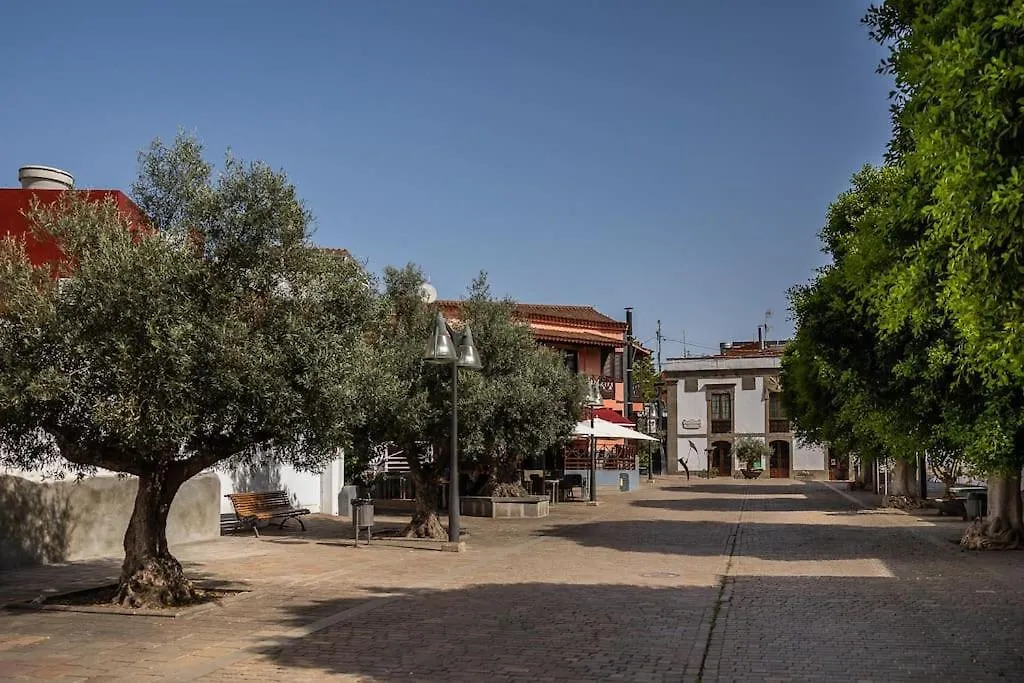 Apartamento En El Casco Historico De San Mateo Vega de San Mateo