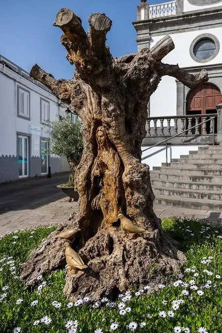 Apartamento En El Casco Historico De San Mateo Vega de San Mateo España